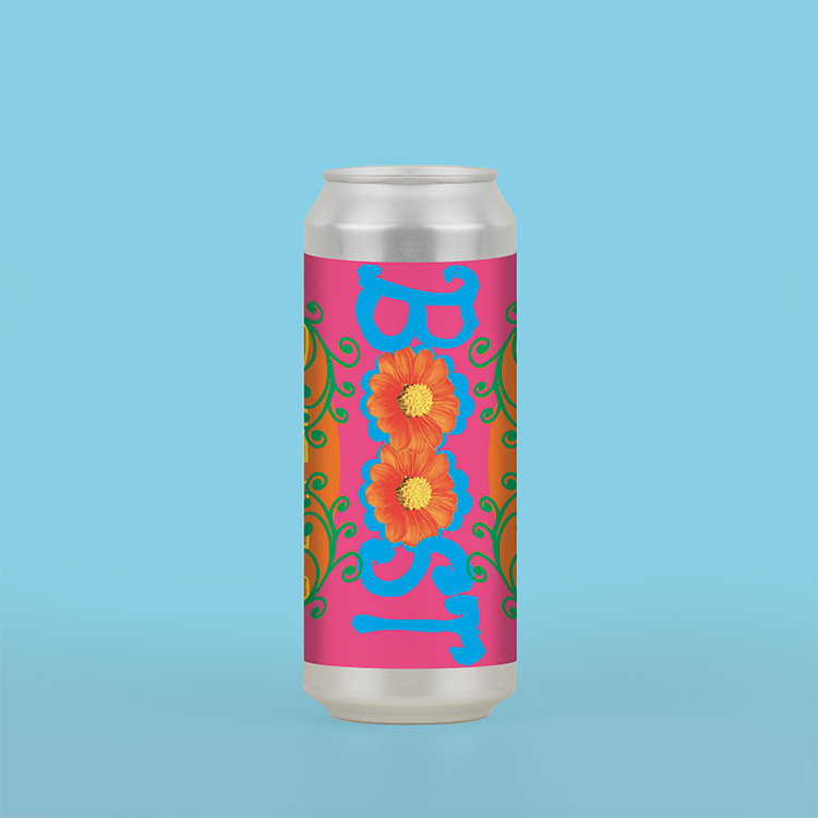 Deya Core 12 Pack Lattine 500ml Pale Ale IPA Lager miste
