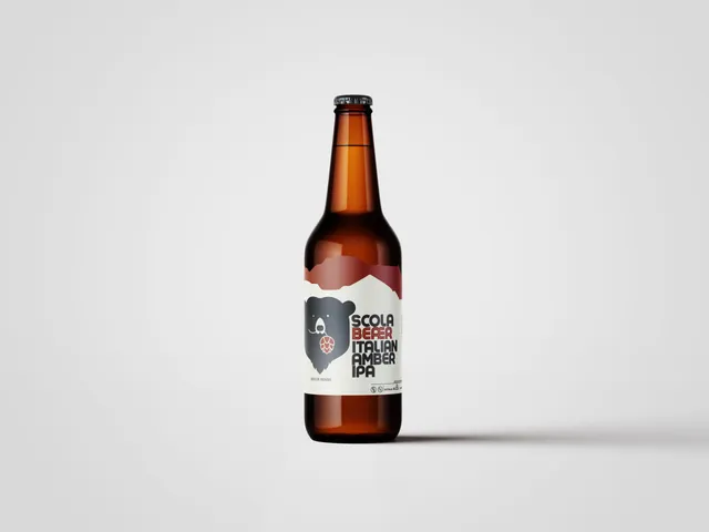Scola IPA Italian Amber Birra Luppolata 12 Bottiglie