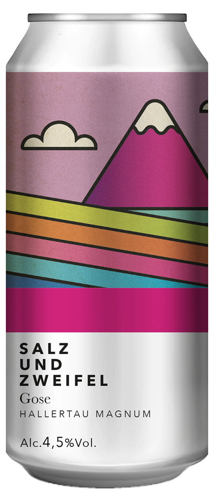 Shire Brewing Salz und Zweifel birra gose 4,5% lattina