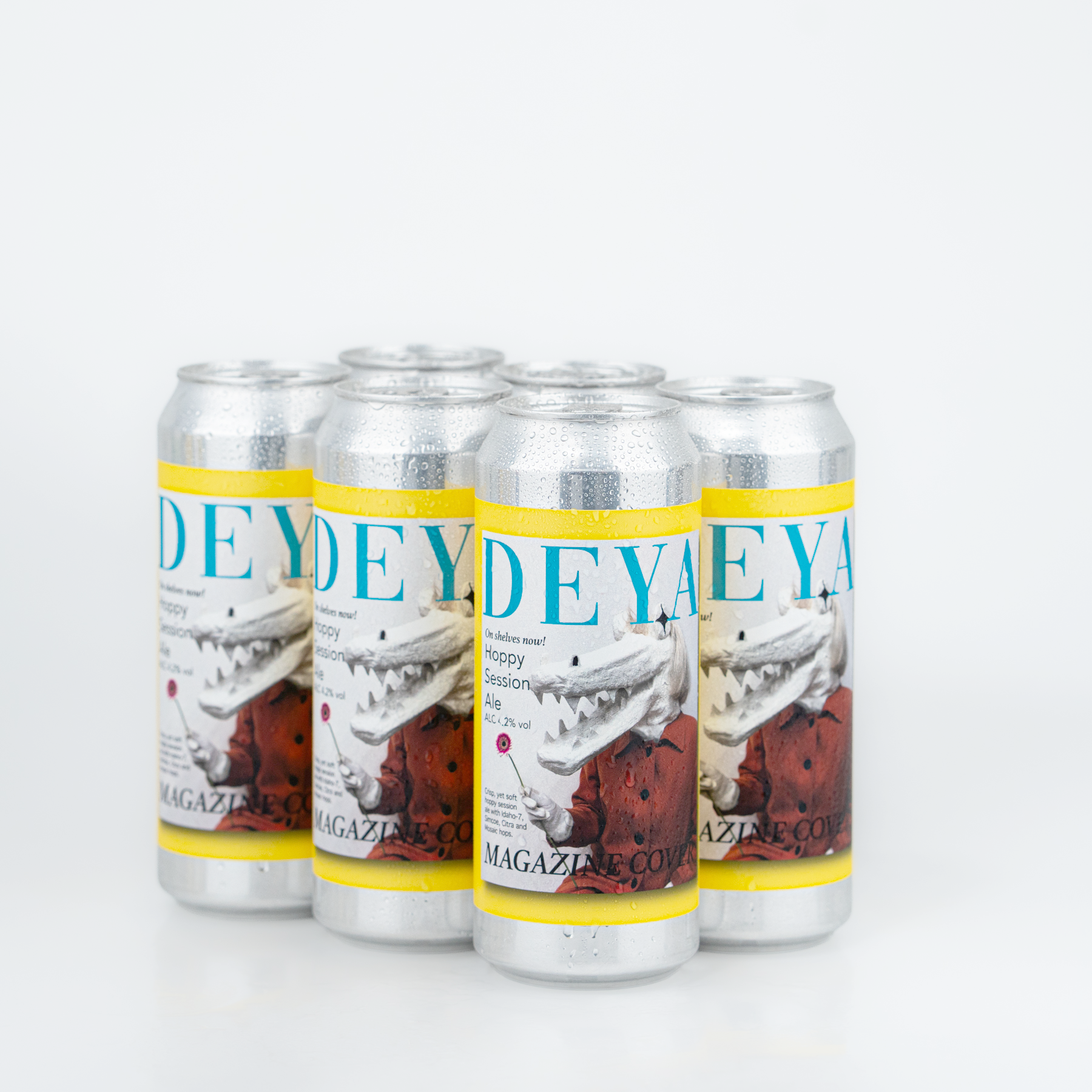 Deya Magazine Cover Pale Ale 6 lattine 500ml 4,2% GF