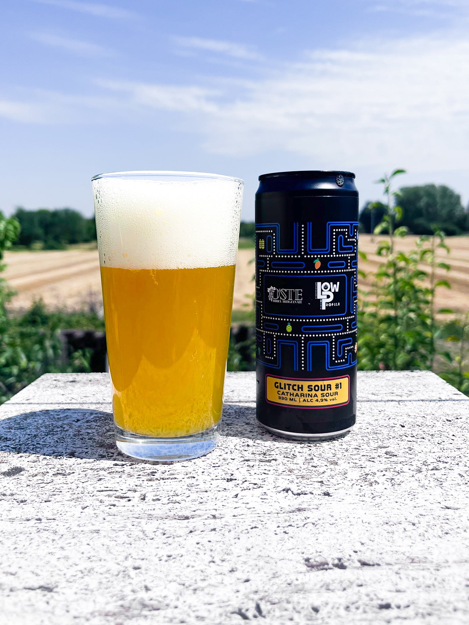 O'Ste Birre artigianali Glitch Sour Catharina lattina 4x330ml