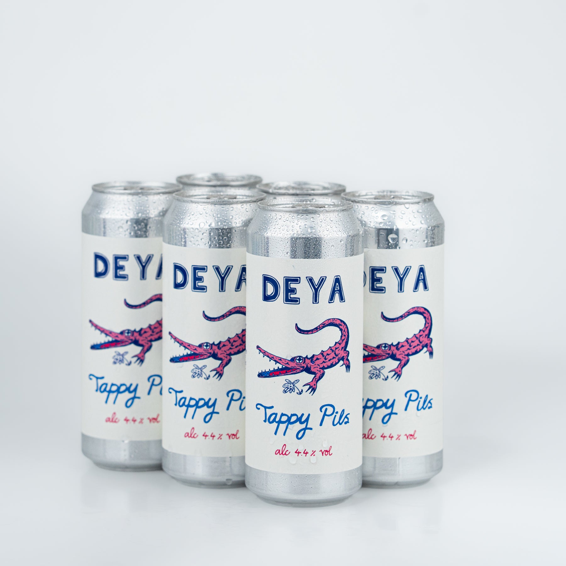 Deya Bundles Tappy Pils Lager Lattina 500ml 6 Pezzi Senza Glutine