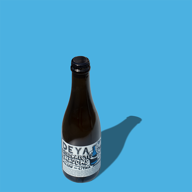 Deya Disconnected Shadows ale bottiglia 375ml 4,5% brett