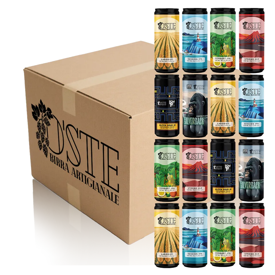 O'Ste Box degustazione 16 birre artigianali miste 6 stili 330 ml