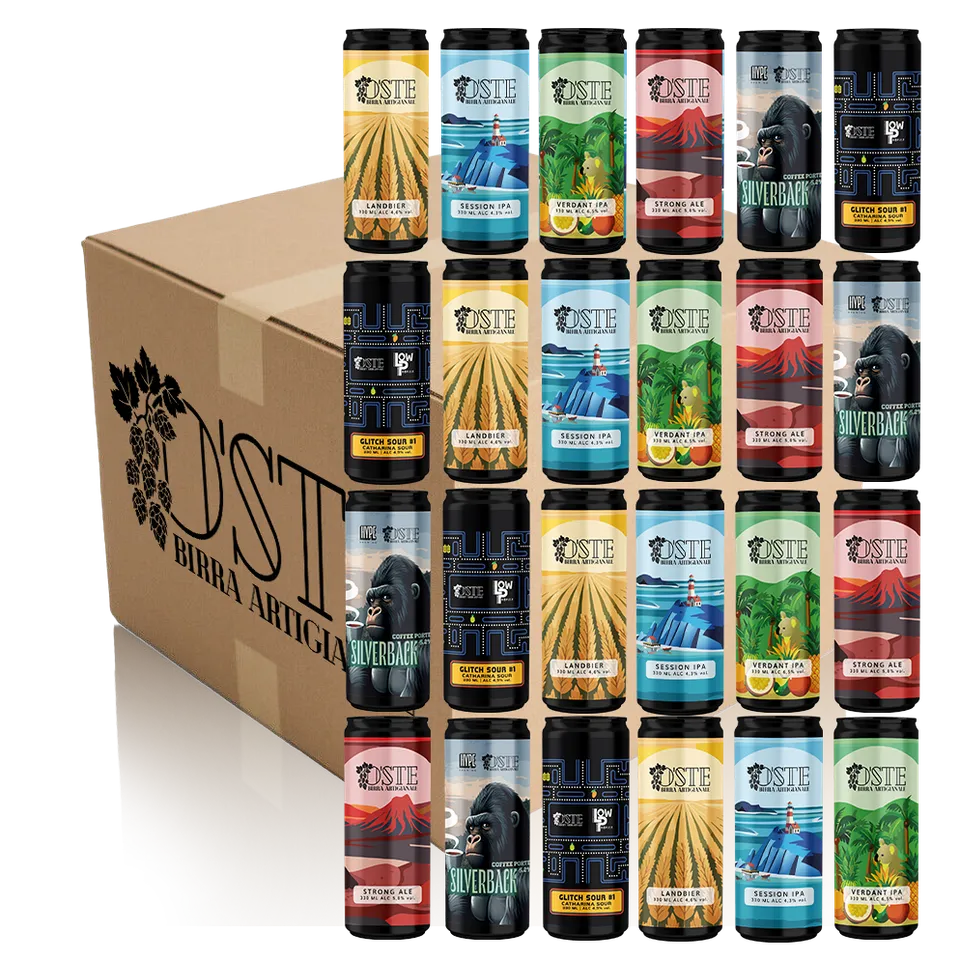 O'Ste Box degustazione 24 birre artigianali miste 330ml