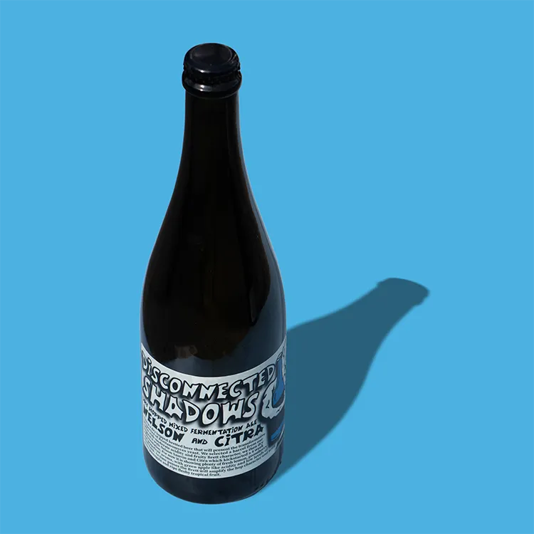 Deya Disconnected Shadows birra bottiglia 750 ml 4,5% Nelson Citra