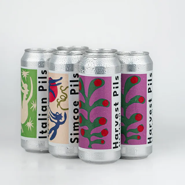 Deya Pils Bundle Lager lattina 6x500ml 4,4% mista