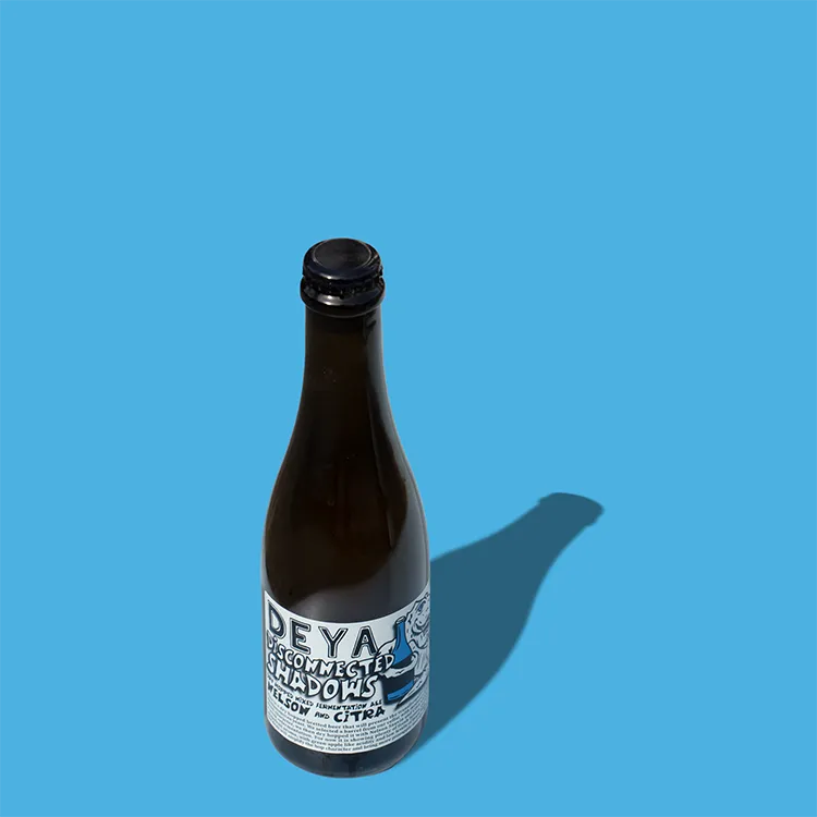 Deya Disconnected Shadows ale bottiglia 375ml 4,5% brett